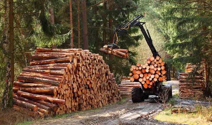 Nous mettons à votre disposition des bois de chauffage adaptés à vos besoins.